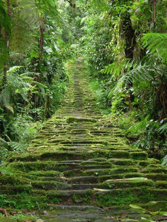 Ciudad Perdida